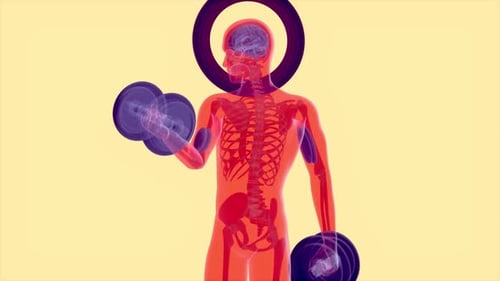 4K anatomy of a X-ray man doing Biceps Curls