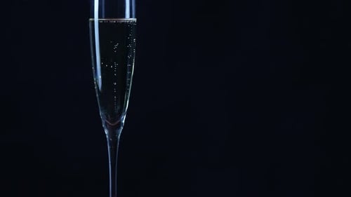 Sparkling Champagne in a Flute Glass