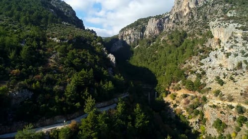 Forest Mountain Road