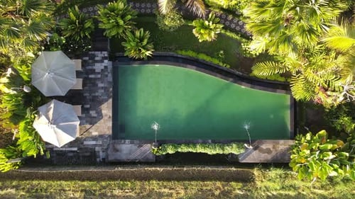 Top aerial view of swimming pool in resort with tropical garden in Bali, Indonesia
