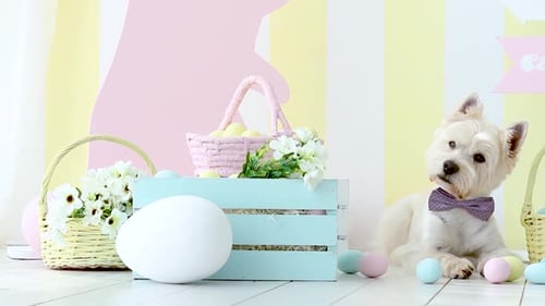 Perro blanco en decoración de Pascua