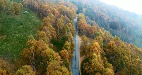 Forward Aerial Top View Over Road in Colorful Countryside Autumn Forest