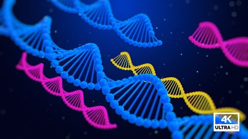Rotating DNA Double Helix Strands Futuristic Science Animation