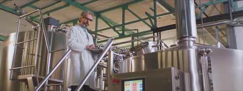 Expert brassicole travaillant dans une brasserie
