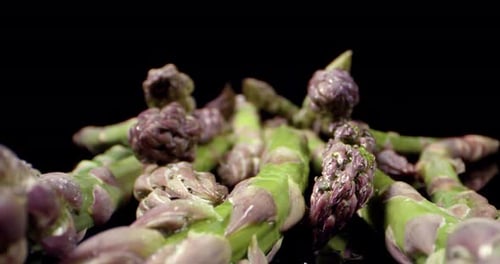 Frischer Spargel hautnah