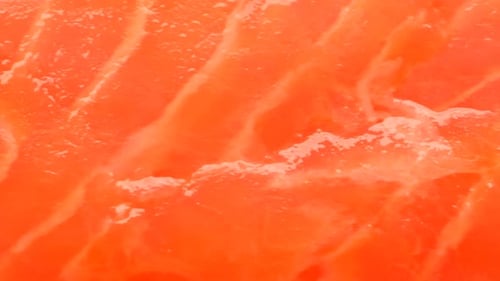 Salmon fish piece. Fresh red fish.