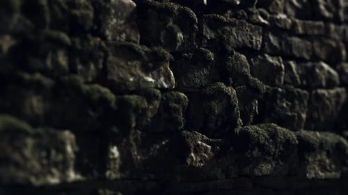 Detailed Close-Up of an Old Moss-Covered Stone Wall