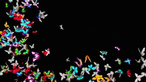 Schmetterling HD