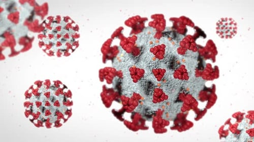 Coronavirus on White Background