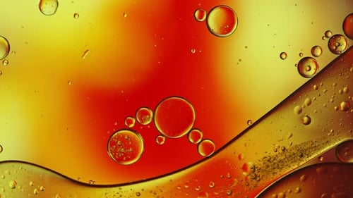 Abstract Macro View of Oil and Water Bubbles