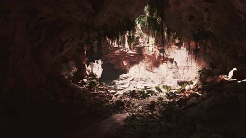 View From Inside a Dark Cave with Green Plants and Light on the Exit