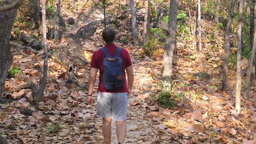 Young Adventure Hiker Man with Blue Backpack Walking and Exploring Autumn Forest