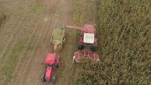 Corn Harvester Working in Rural Farmland Aerial