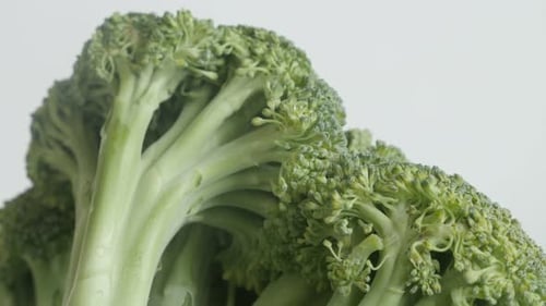 Healthy Brassica oleracea floret close-up 4K 2160p 30fps UltraHD tilting footage - Organic green br