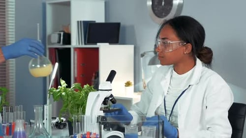 Young Woman Scientist Using Microscope in Laboratory