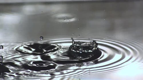 Water Droplets Create Abstract Ripple Effect