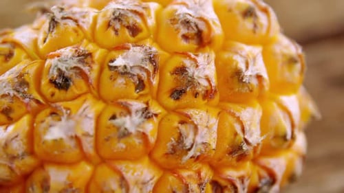Close-up of pineapple