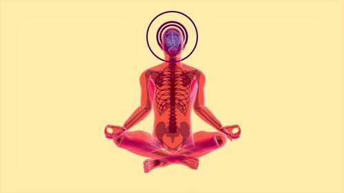 3D Creative abstract zen man in Xray