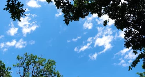 Clouds