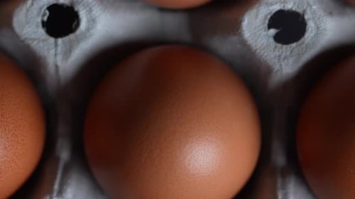 Huevos 14