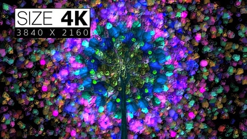 Stained Glass 01