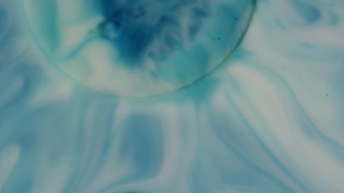 Abstract Liquid Paint Swirls in Blue and White