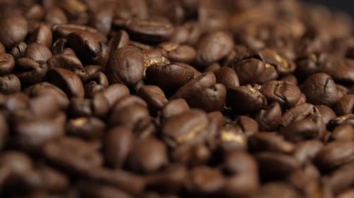 Close Up Of Seeds Of Coffee Rotating