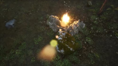 Campfire at Mountain Rorest at Night