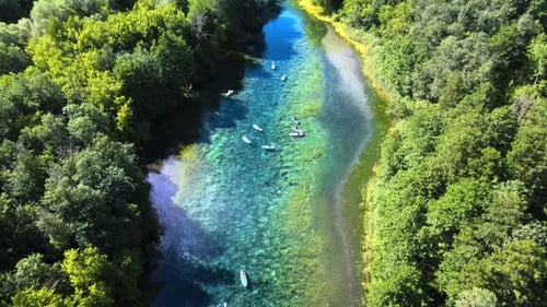 Team is rowing on forest river. Clean air and clear water in a protected area