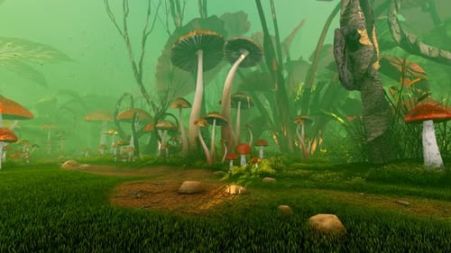 das Spiel Forest