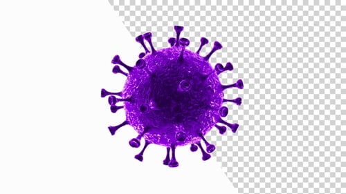 Medical Purple Virus Cell 3D Animation Loop
