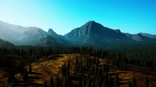 Vista aérea sobre la cordillera con el bosque de pinos en Baviera