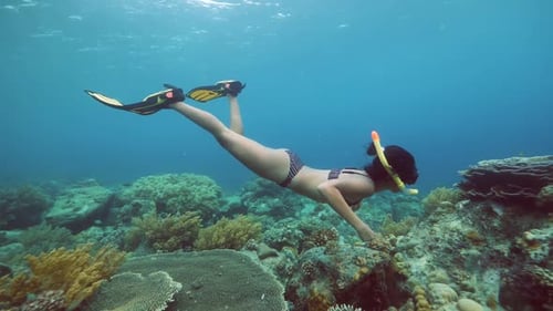 Woman Snorkeling Above Coral Reef Underwater