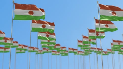 Niger Reihe der Nationalflaggen, Wanderwurf, Animation