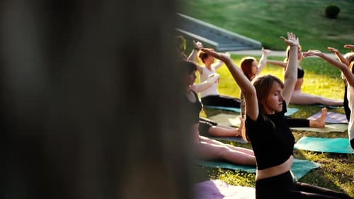 Women Practicing Yoga in the Park