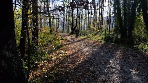 Run Man Forest