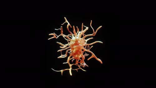 3D Abstract Organic Cell Animation for Medical Science