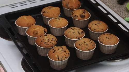 Freshly Baked Muffins on a Tray in the Home