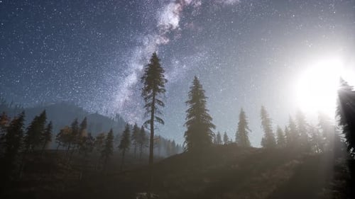 Milky Way Stars with Moonlight