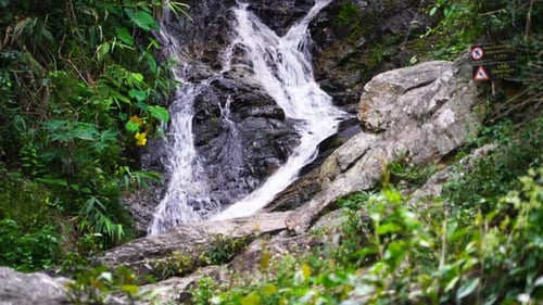 Small Waterfall Flowing Through Lush Green Nature