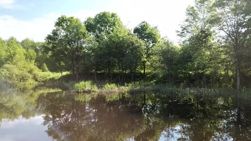 Reflective Lake Surrounded by Lush Green Trees