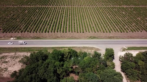 Luftaufnahme der Autobahnstraße zwischen Wiese und landwirtschaftlichem Feld