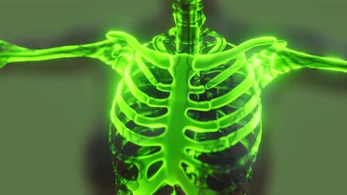 Glowing Green Human Skeleton 3D Medical Scan Animation
