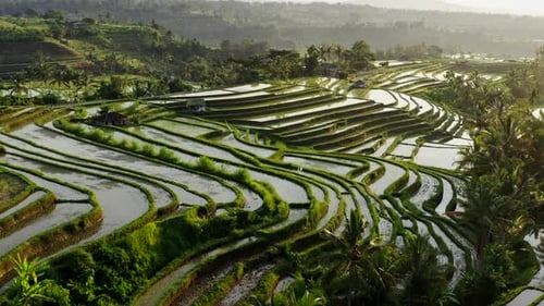 Aerial View Of Water Filled Rice Terrace At Morning. Beautiful Landscape Of Tropical Rice Fields