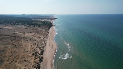 Meer, Strand, Wald, Drohne
