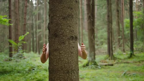 Person Hugging a Tree in a Forest
