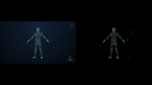 Human Scanning