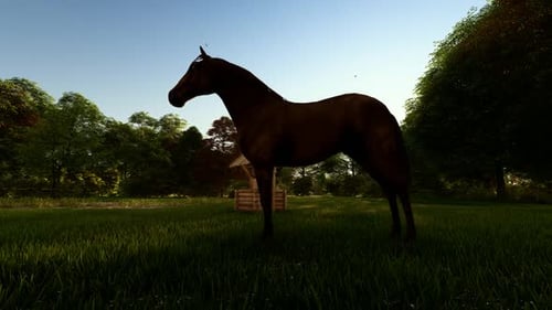 Caballo