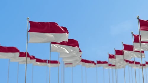 Waving Indonesian Flags Against a Clear Blue Sky