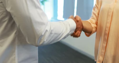 Business colleagues shaking hands in office